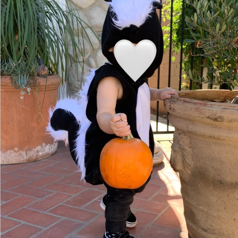 Pottery Barn Kids Black and White Skunk Costume 12-24months